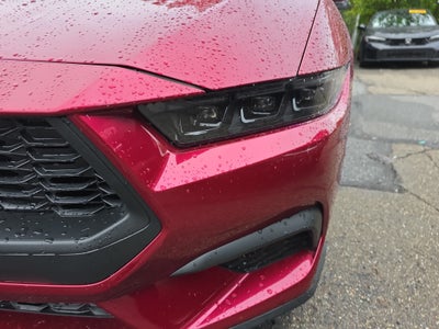 2025 Ford Mustang EcoBoost