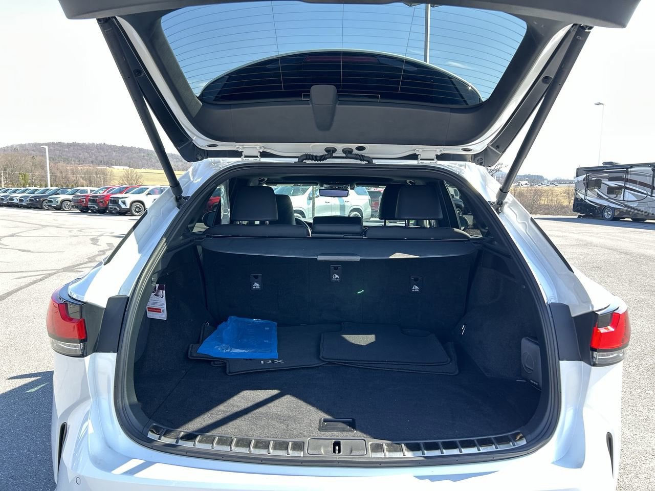 2023 Lexus RX RX 350