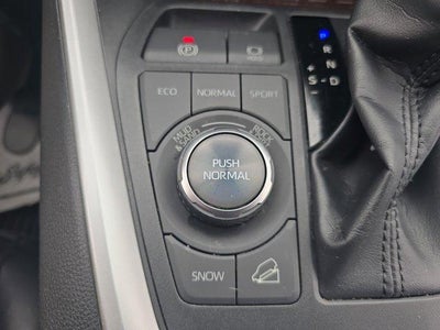 2019 Toyota RAV4 Limited AWD (GS)