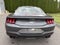 2024 Ford Mustang EcoBoost Premium Fastback