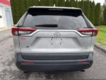2019 Toyota RAV4 XLE Premium AWD (Natl)