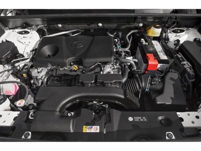 2019 Toyota RAV4 XLE Premium AWD (Natl)