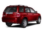 2010 Ford Escape 4WD 4dr Limited
