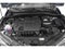 2019 Toyota C-HR LE FWD (Natl)