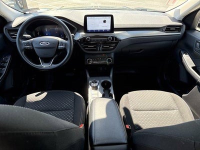 2025 Ford Escape Active AWD