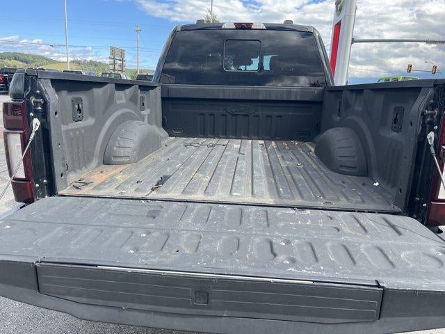 2021 Ford Super Duty F-250 SRW Platinum 4WD Crew Cab 6.75' Box