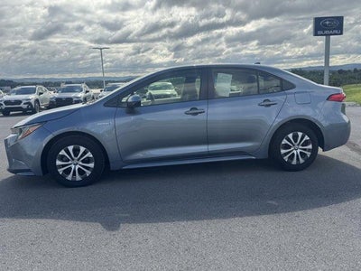 2021 Toyota Corolla Hybrid LE CVT (Natl)