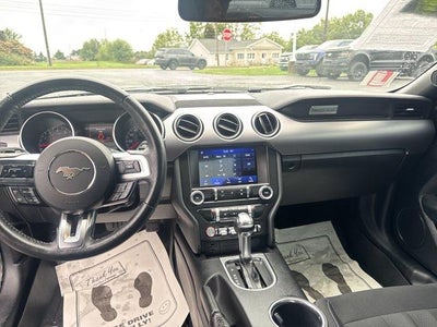 2019 Ford Mustang EcoBoost Fastback