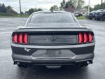 2019 Ford Mustang EcoBoost Fastback