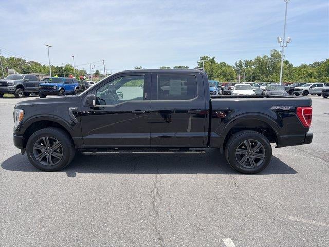2023 Ford F-150 XLT 4WD SuperCrew 5.5' Box