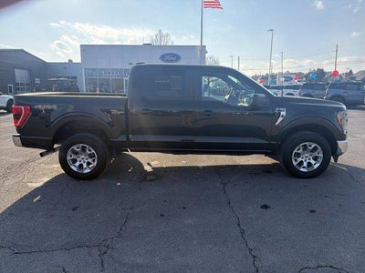 2023 Ford F-150 XLT 4WD SuperCrew 5.5' Box
