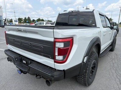 2023 Ford F-150 Raptor 4WD SuperCrew 5.5' Box