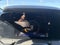 2025 Chevrolet Trailblazer AWD 4dr LT