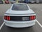 2019 Ford Mustang GT Premium Fastback