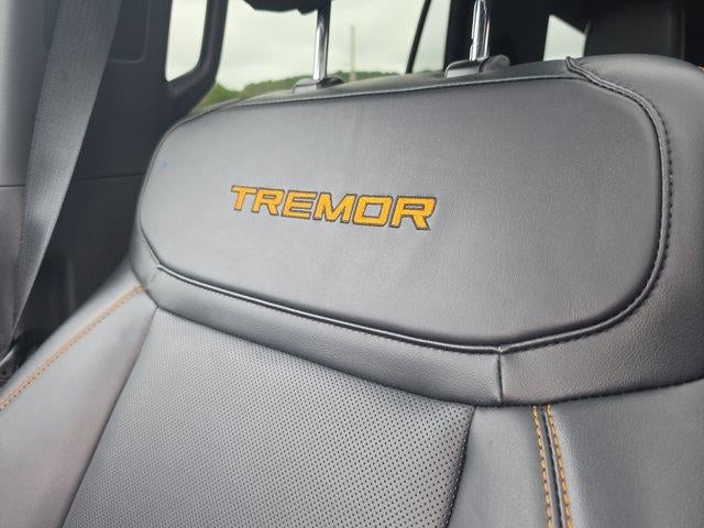 2025 Ford Expedition Tremor 4x4